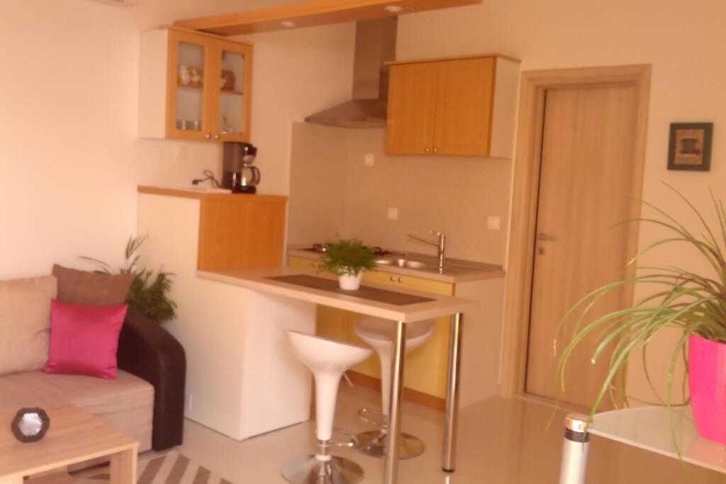 Apartment Dandelion Brela Kültér fotó
